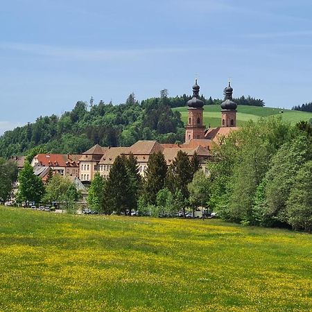 Apartment Malerkarle zentral und ruhig Sankt Peter Exterior foto