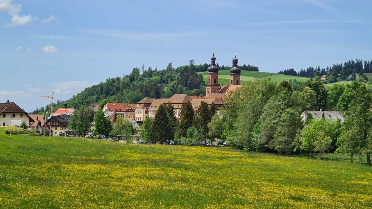 Apartment Malerkarle zentral und ruhig Sankt Peter Exterior foto